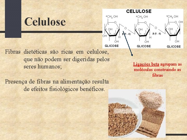 Celulose Fibras dietéticas são ricas em celulose, que não podem ser digeridas pelos seres