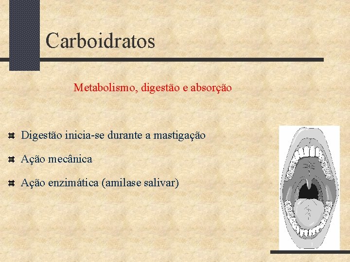 Carboidratos Metabolismo, digestão e absorção Digestão inicia-se durante a mastigação Ação mecânica Ação enzimática