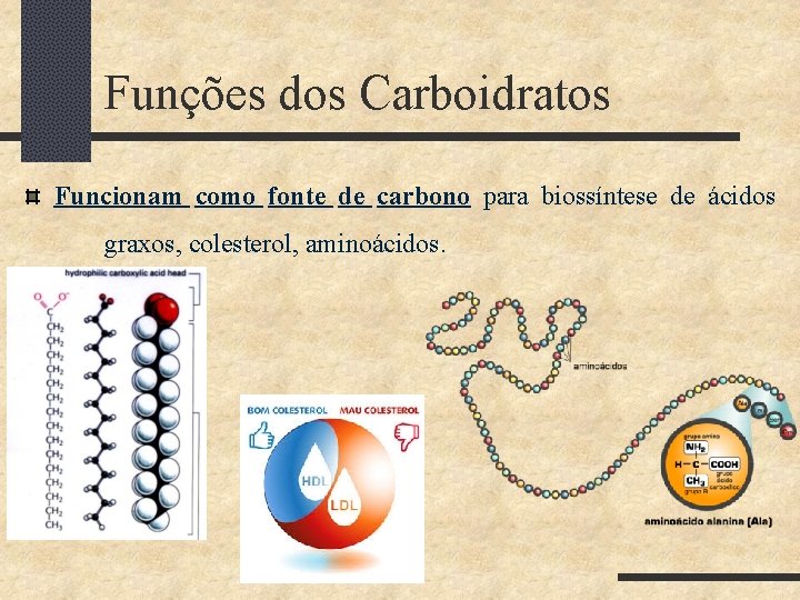 Funções dos Carboidratos Funcionam como fonte de carbono para biossíntese de ácidos graxos, colesterol,