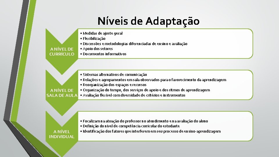 Níveis de Adaptação A NÍVEL DE CURRÍCULO • Medidas de ajuste geral • Flexibilização