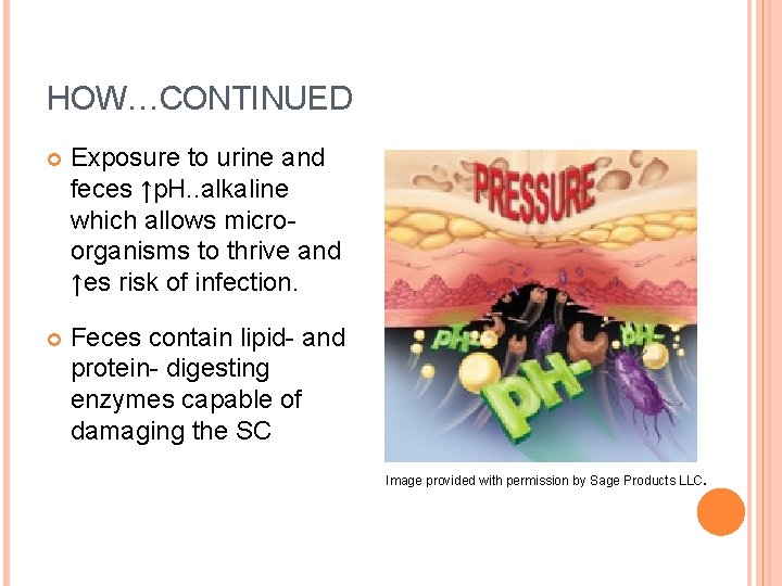 HOW…CONTINUED Exposure to urine and feces ↑p. H. . alkaline which allows microorganisms to