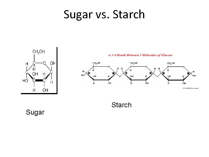Sugar vs. Starch Sugar Starch 