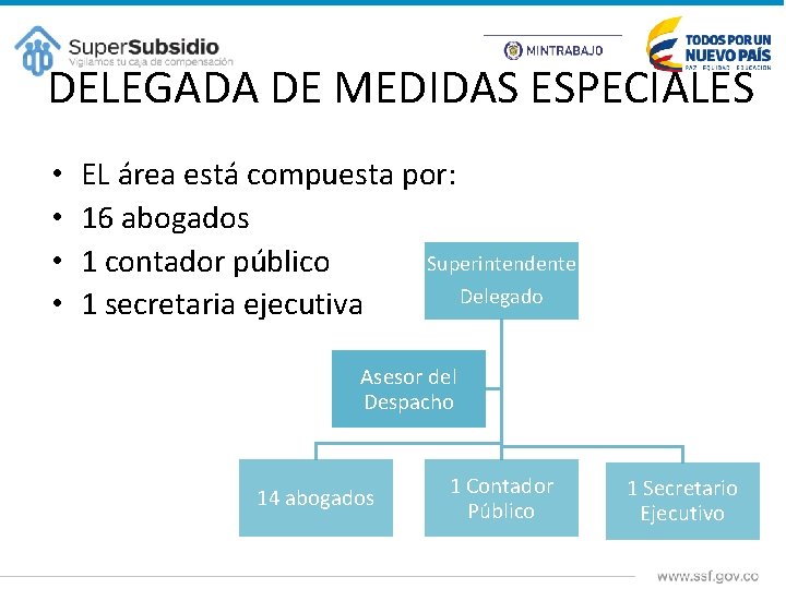 DELEGADA DE MEDIDAS ESPECIALES • • EL área está compuesta por: 16 abogados Superintendente