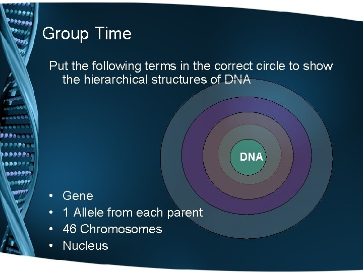 Group Time Put the following terms in the correct circle to show the hierarchical