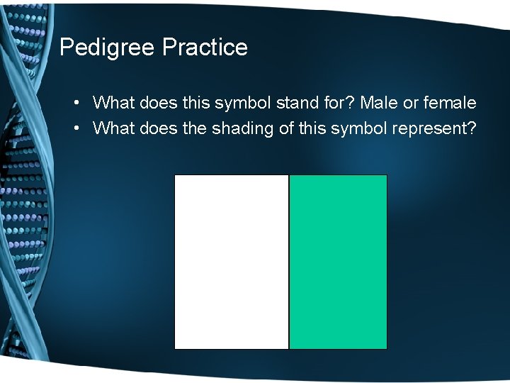 Pedigree Practice • What does this symbol stand for? Male or female • What