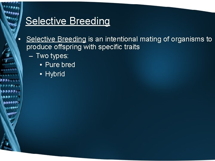 Selective Breeding • Selective Breeding is an intentional mating of organisms to produce offspring