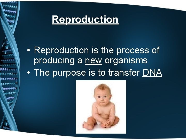 Reproduction • Reproduction is the process of producing a new organisms • The purpose