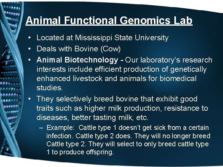 Animal Functional Genomics Lab • Located at Mississippi State University • Deals with Bovine
