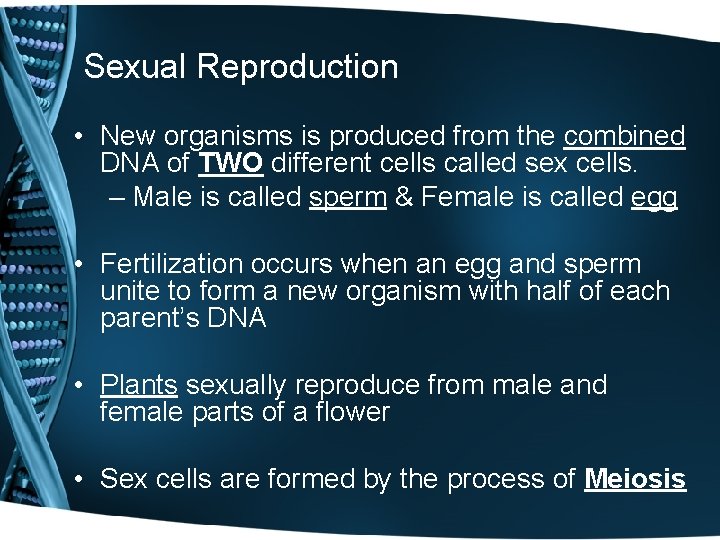 Sexual Reproduction • New organisms is produced from the combined DNA of TWO different