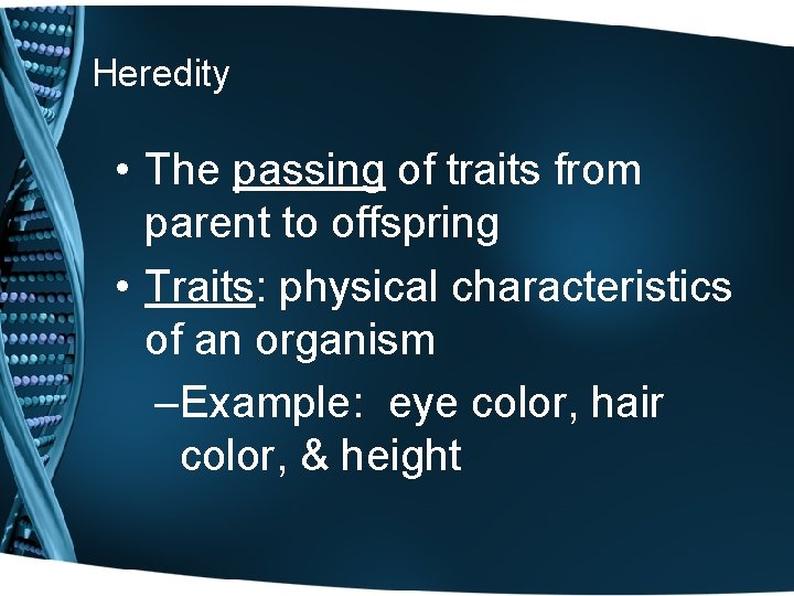 Heredity • The passing of traits from parent to offspring • Traits: physical characteristics