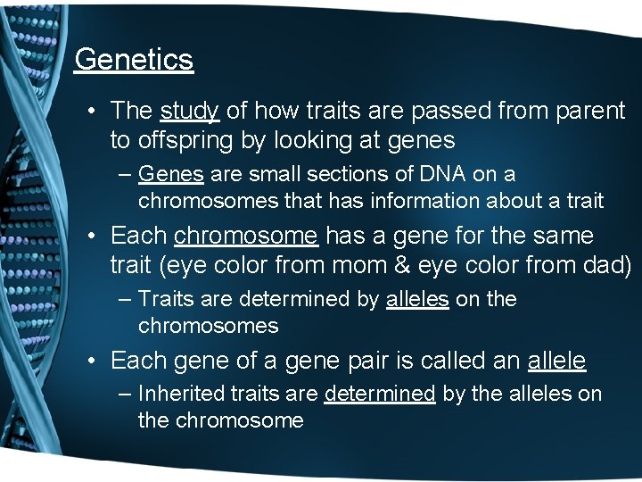 Genetics • The study of how traits are passed from parent to offspring by