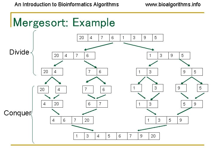 An Introduction to Bioinformatics Algorithms www. bioalgorithms. info Mergesort: Example 20 Divide 20 20