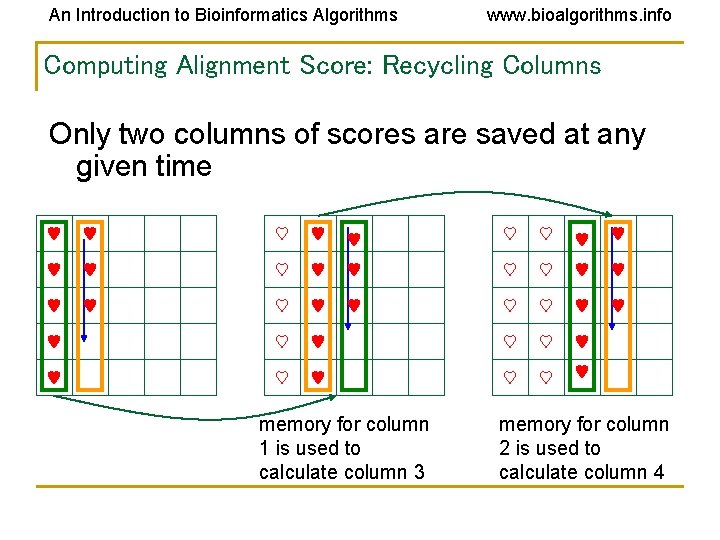 An Introduction to Bioinformatics Algorithms www. bioalgorithms. info Computing Alignment Score: Recycling Columns Only