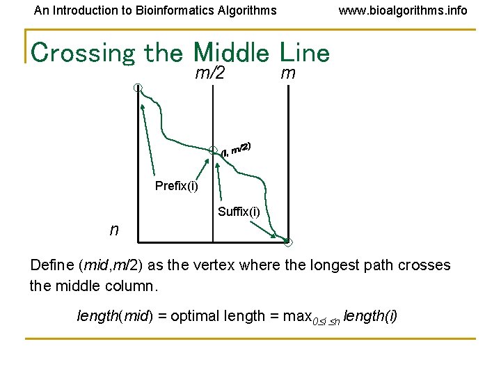 An Introduction to Bioinformatics Algorithms www. bioalgorithms. info Crossing the Middle Line m/2 m