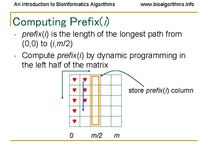 An Introduction to Bioinformatics Algorithms www. bioalgorithms. info Computing Prefix(i) • • prefix(i) is