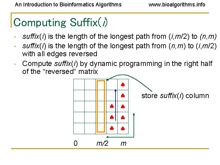 An Introduction to Bioinformatics Algorithms www. bioalgorithms. info Computing Suffix(i) • • • suffix(i)