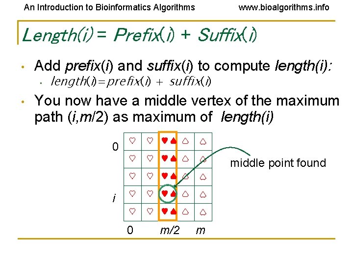 An Introduction to Bioinformatics Algorithms www. bioalgorithms. info Length(i) = Prefix(i) + Suffix(i) •