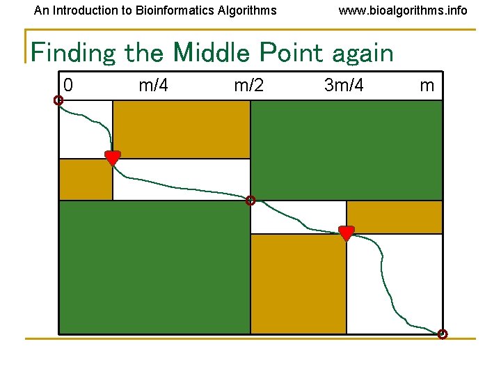 An Introduction to Bioinformatics Algorithms www. bioalgorithms. info Finding the Middle Point again 0