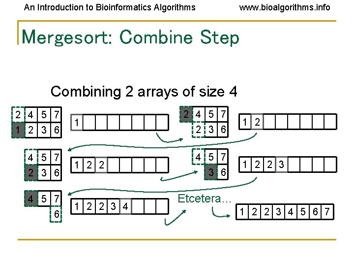 An Introduction to Bioinformatics Algorithms www. bioalgorithms. info Mergesort: Combine Step Combining 2 arrays