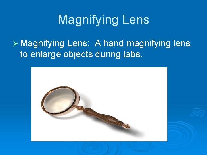 Magnifying Lens Ø Magnifying Lens: A hand magnifying lens to enlarge objects during labs.