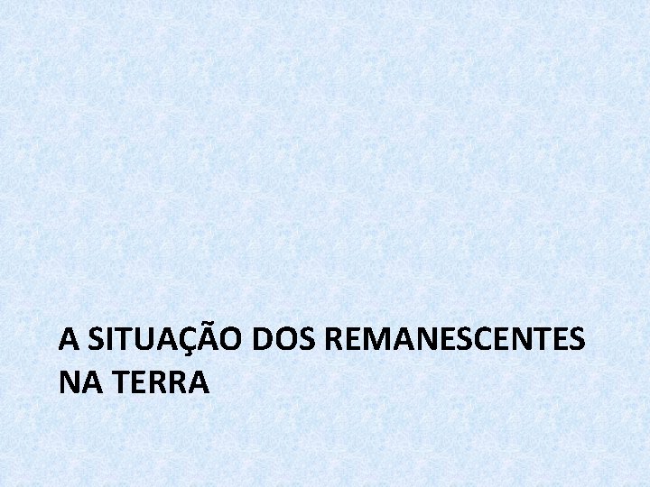 A SITUAÇÃO DOS REMANESCENTES NA TERRA 