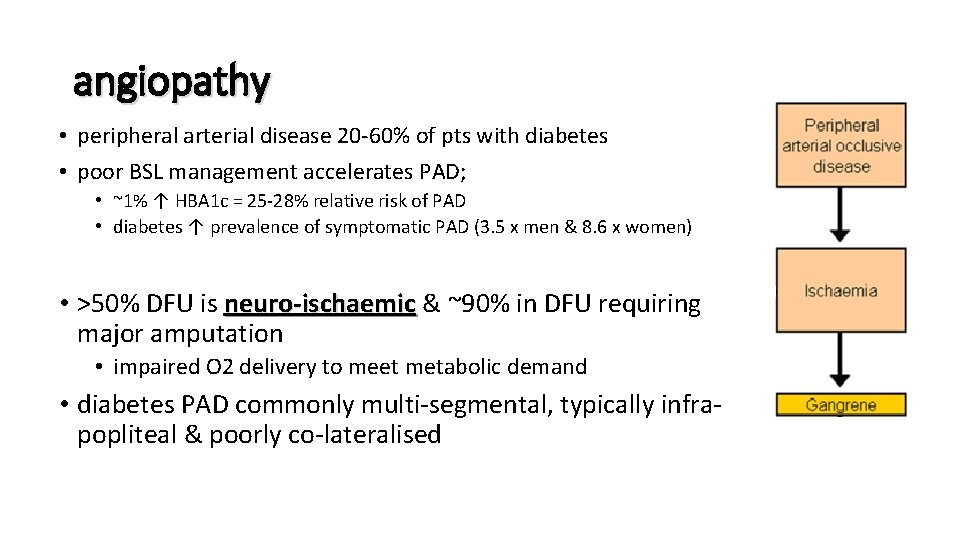 angiopathy • peripheral arterial disease 20 -60% of pts with diabetes • poor BSL