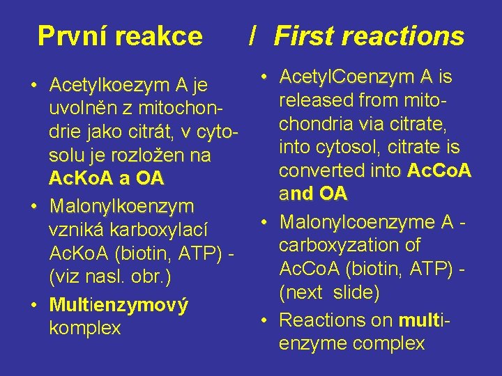 První reakce • Acetylkoezym A je A uvolněn z mitochondrie jako citrát, citrát v