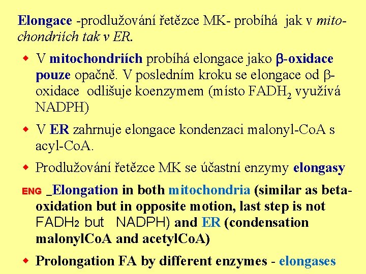 Elongace -prodlužování řetězce MK- probíhá jak v mitochondriích tak v ER. w V mitochondriích