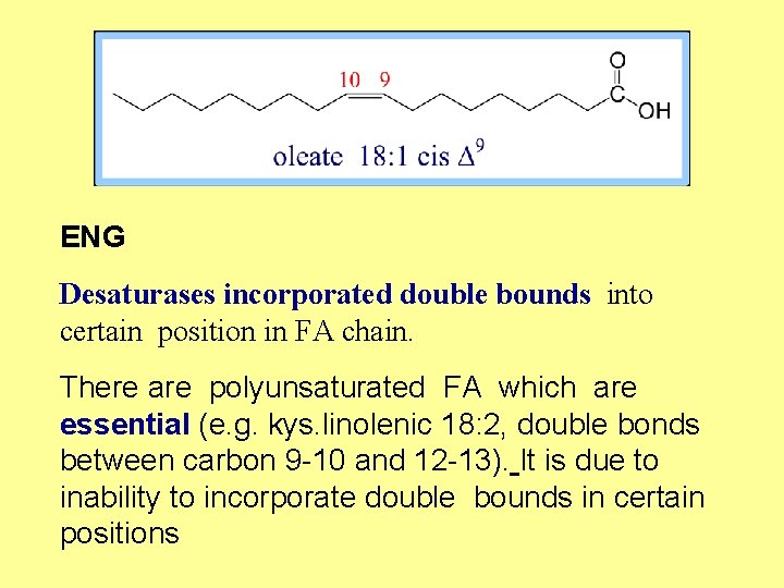 ENG Desaturases incorporated double bounds into certain position in FA chain. There are polyunsaturated