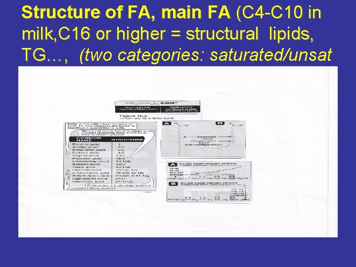 Structure of FA, main FA (C 4 -C 10 in milk, C 16 or