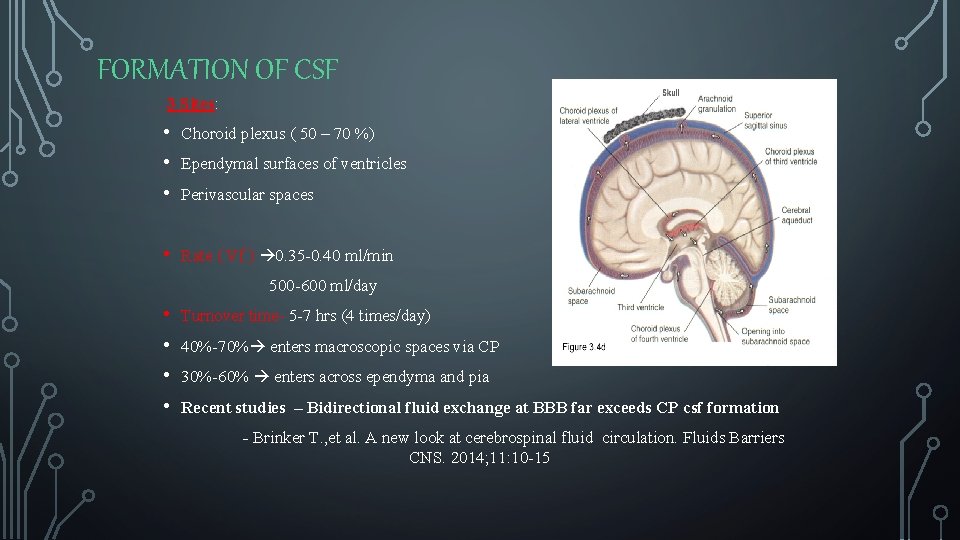 FORMATION OF CSF 3 Sites: • • • Choroid plexus ( 50 – 70