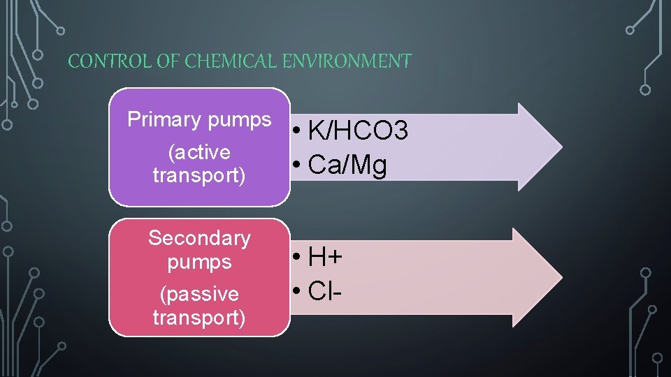 CONTROL OF CHEMICAL ENVIRONMENT Primary pumps (active transport) Secondary pumps (passive transport) • K/HCO