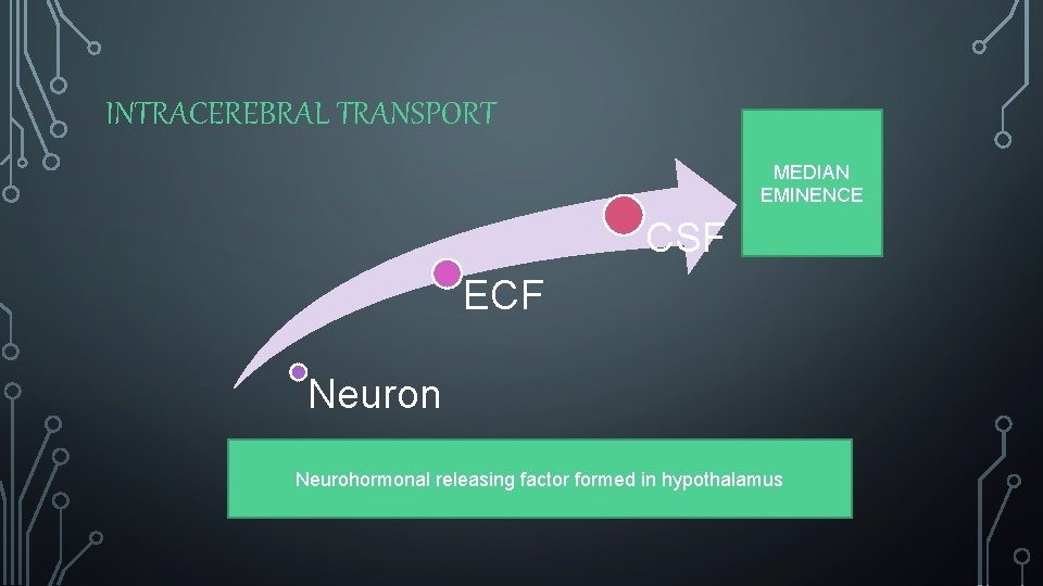 INTRACEREBRAL TRANSPORT MEDIAN EMINENCE CSF ECF Neuron Neurohormonal releasing factor formed in hypothalamus 