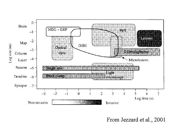 From Jezzard et al. , 2001 From Jezzard et al. , 2001