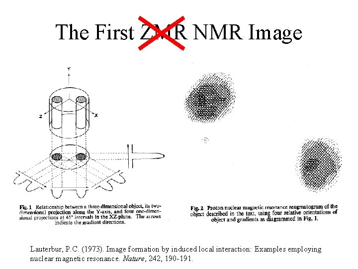The First ZMR NMR Image Lauterbur, P. C. (1973). Image formation by induced local The First ZMR NMR Image Lauterbur, P. C. (1973). Image formation by induced local