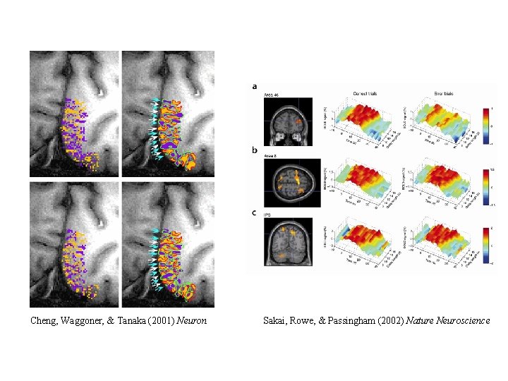 Cheng, Waggoner, & Tanaka (2001) Neuron Sakai, Rowe, & Passingham (2002) Nature Neuroscience Cheng, Waggoner, & Tanaka (2001) Neuron Sakai, Rowe, & Passingham (2002) Nature Neuroscience