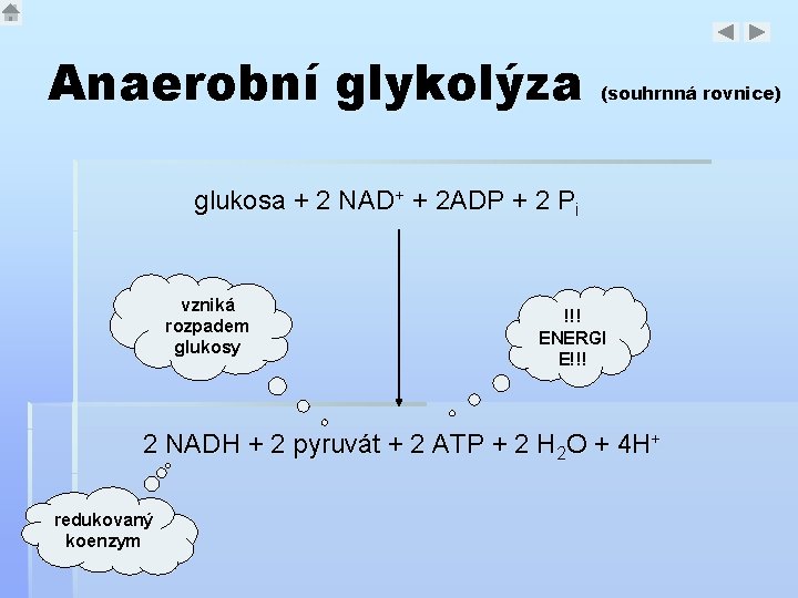 Anaerobní glykolýza (souhrnná rovnice) glukosa + 2 NAD+ + 2 ADP + 2 Pi