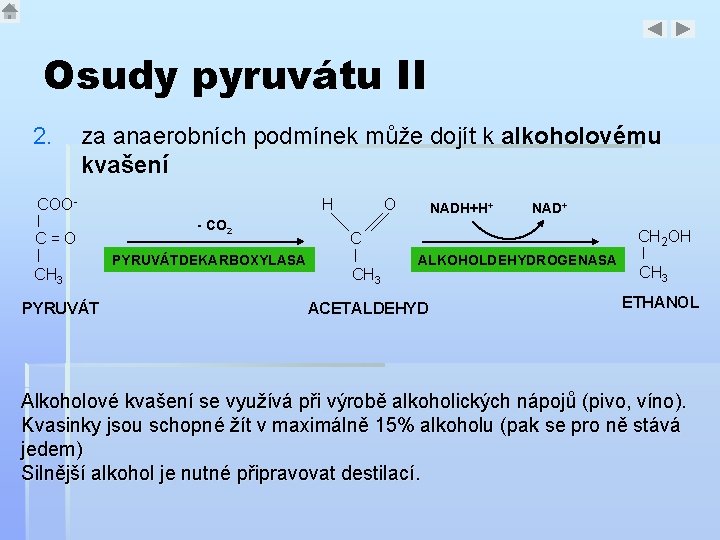 Osudy pyruvátu II 2. za anaerobních podmínek může dojít k alkoholovému kvašení COOC=O CH