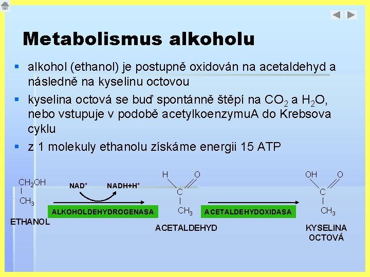 Metabolismus alkoholu § alkohol (ethanol) je postupně oxidován na acetaldehyd a následně na kyselinu