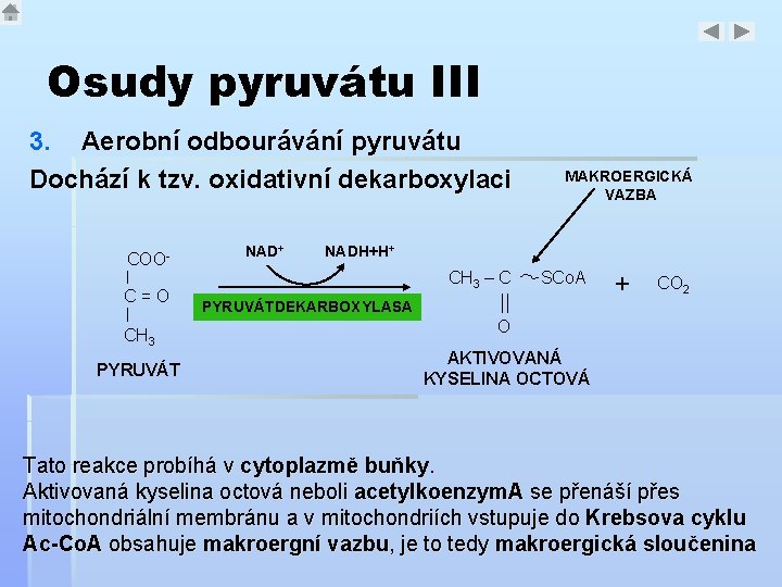 Osudy pyruvátu III 3. Aerobní odbourávání pyruvátu Dochází k tzv. oxidativní dekarboxylaci COOC=O CH