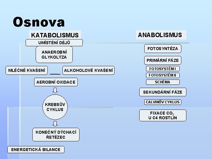 Osnova KATABOLISMUS ANABOLISMUS UMÍSTĚNÍ DĚJŮ ANAEROBNÍ GLYKOLÝZA MLÉČNÉ KVAŠENÍ ALKOHOLOVÉ KVAŠENÍ FOTOSYNTÉZA PRIMÁRNÍ FÁZE