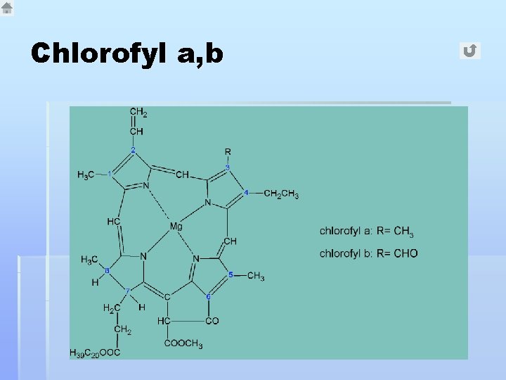 Chlorofyl a, b 