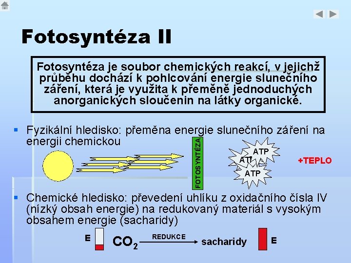 Fotosyntéza II Fotosyntéza je soubor chemických reakcí, v jejichž průběhu dochází k pohlcování energie