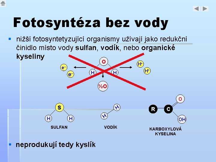 Fotosyntéza bez vody § nižší fotosyntetyzující organismy užívají jako redukční činidlo místo vody sulfan,