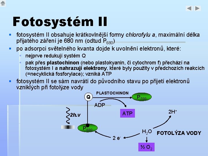 Fotosystém II § fotosystém II obsahuje krátkovlnější formy chlorofylu a, maximální délka přijatého záření