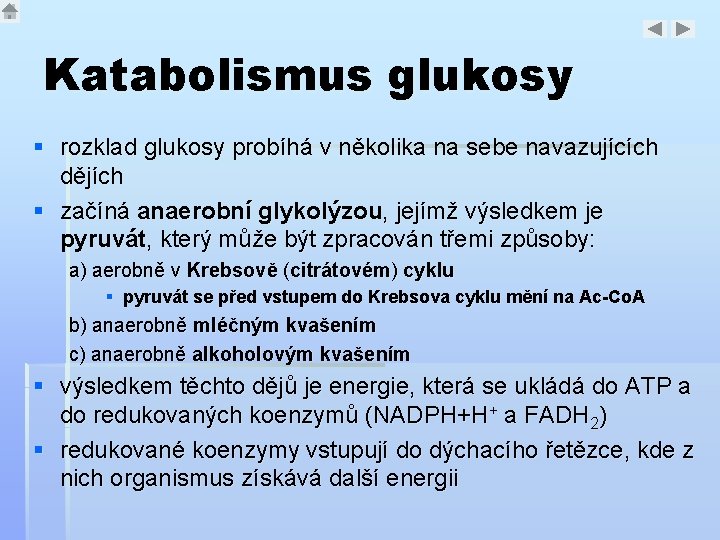 Katabolismus glukosy § rozklad glukosy probíhá v několika na sebe navazujících dějích § začíná