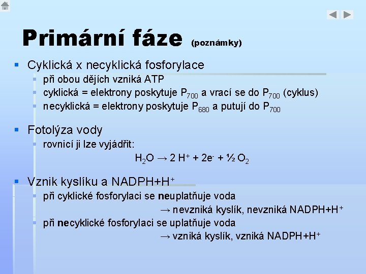 Primární fáze (poznámky) § Cyklická x necyklická fosforylace § § § při obou dějích