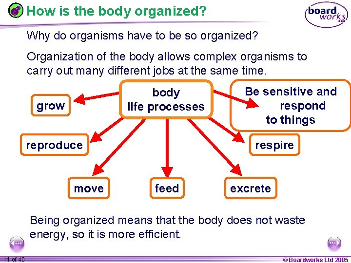 How is the body organized? Why do organisms have to be so organized? Organization