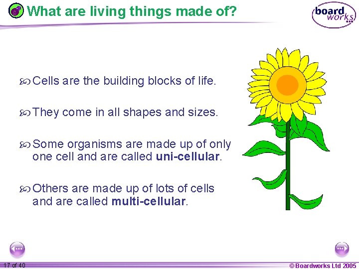 What are living things made of? Cells are the building blocks of life. They