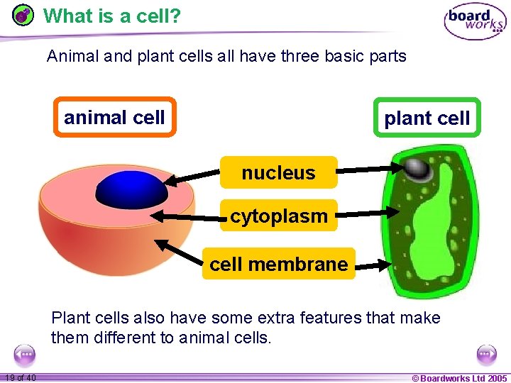 What is a cell? Animal and plant cells all have three basic parts Plant